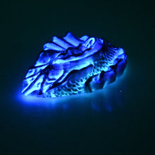 Load image into Gallery viewer, C2SCV92 Calypso Small 0030 UV GITD
