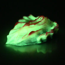 Load image into Gallery viewer, C4MCV99 Calypso Large 0050 UV GITD
