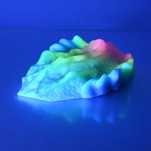 Load image into Gallery viewer, C4SCW04 Calypso Large 0030 UV GITD
