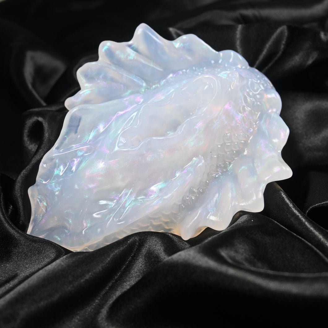 C4TCW05 Calypso Large NC 0031