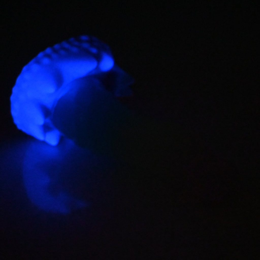 S3TBW37 Snark Medium NC 0031 UV GITD