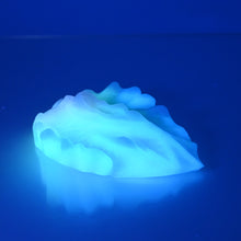 Load image into Gallery viewer, C2XCX23 Calypso Small 0020 UV GITD
