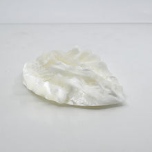 Load image into Gallery viewer, C2MCX27 Calypso Small 0050 UV GITD
