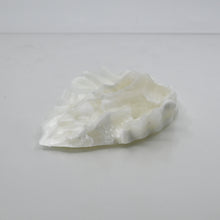 Load image into Gallery viewer, C2MCX27 Calypso Small 0050 UV GITD
