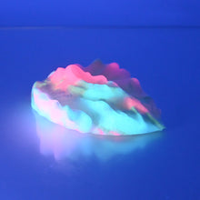 Load image into Gallery viewer, C2MCX27 Calypso Small 0050 UV GITD
