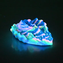 Load image into Gallery viewer, C2SCX26 Calypso Small 0030 UV GITD
