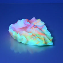 Load image into Gallery viewer, C2SCX25 Calypso Small 0030 UV GITD
