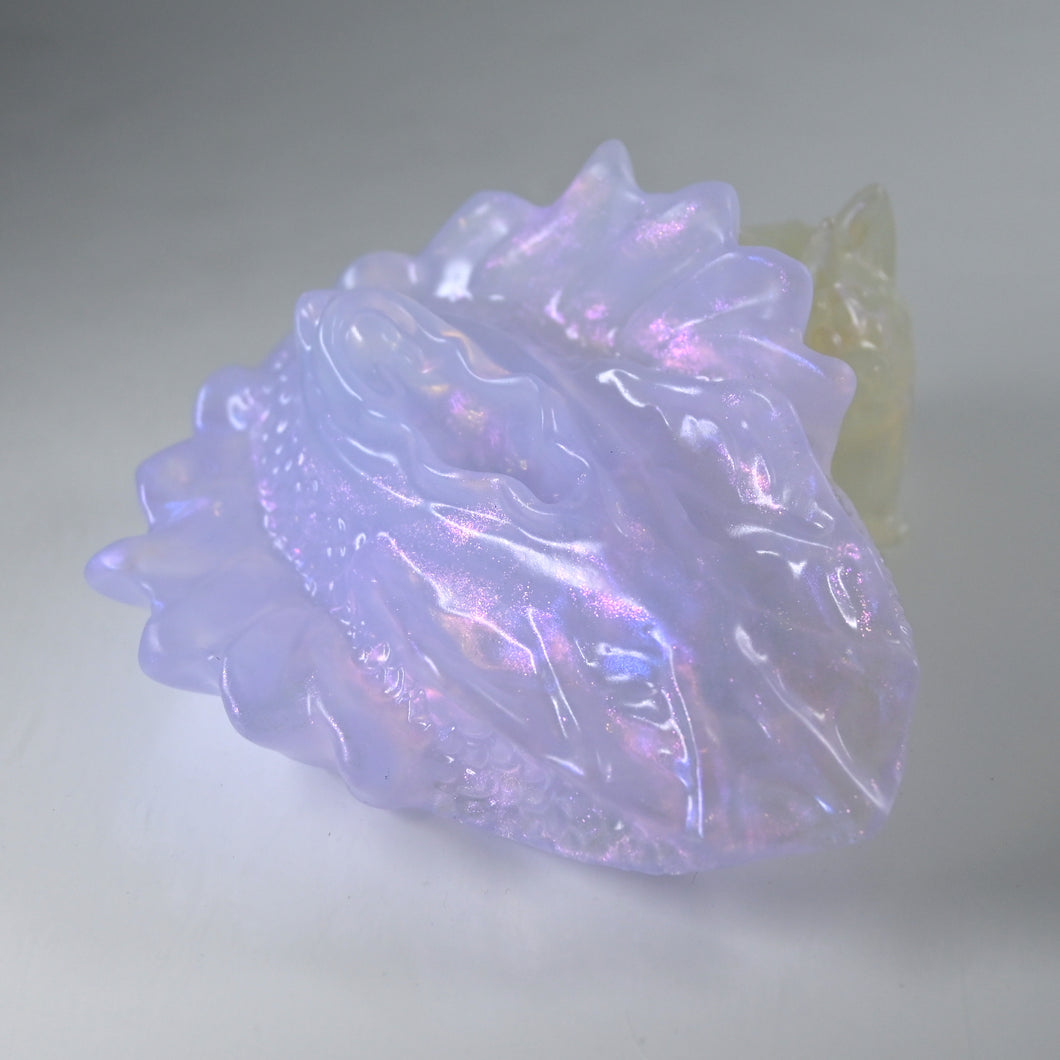 C2TCX24 Calypso Small NC 0031 UV