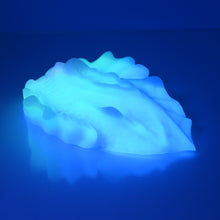 Load image into Gallery viewer, C4XCX31 Calypso Large 0020 UV GITD
