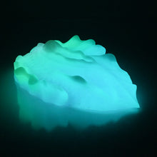 Load image into Gallery viewer, C4XCX31 Calypso Large 0020 UV GITD
