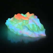 Load image into Gallery viewer, C4MCX35 Calypso Large 0050 UV GITD
