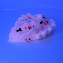 Load image into Gallery viewer, C4MCX30 Calypso Large 0050 UV GITD
