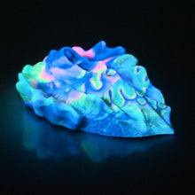 Load image into Gallery viewer, C4SCX34 Calypso Large 0030 UV GITD
