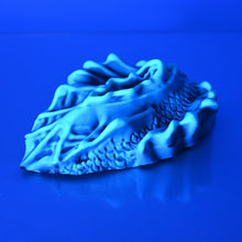 Load image into Gallery viewer, C4SCX29 Calypso Large 0030 UV GITD
