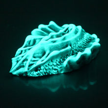 Load image into Gallery viewer, C4SCX29 Calypso Large 0030 UV GITD
