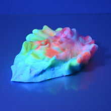 Load image into Gallery viewer, C4SCX33 Calypso Large 0030 UV GITD
