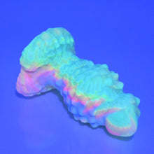 Load image into Gallery viewer, M1SAZ05 Mars Mini Soft UV GITD
