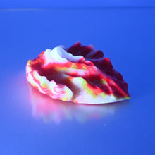 Load image into Gallery viewer, C2MDA07 Calypso Small 0050 UV GITD
