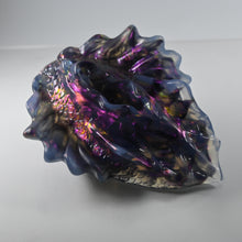 Load image into Gallery viewer, C4TDA19 Calypso Large NC 0031 CS
