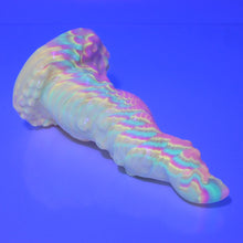 Load image into Gallery viewer, N2SBB65 Nereid Small Soft UV
