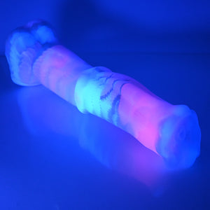 K5TBZ10 Kitalpha XL NC 0031 UV