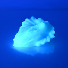 Load image into Gallery viewer, C2SDC32 Calypso Small 0030 UV GITD
