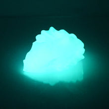 Load image into Gallery viewer, C2SDC32 Calypso Small 0030 UV GITD
