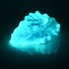 Load image into Gallery viewer, C4SDC41 Calypso Large 0030 UV GITD
