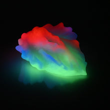 Load image into Gallery viewer, C4MDC45 Calypso Large 0050 UV GITD
