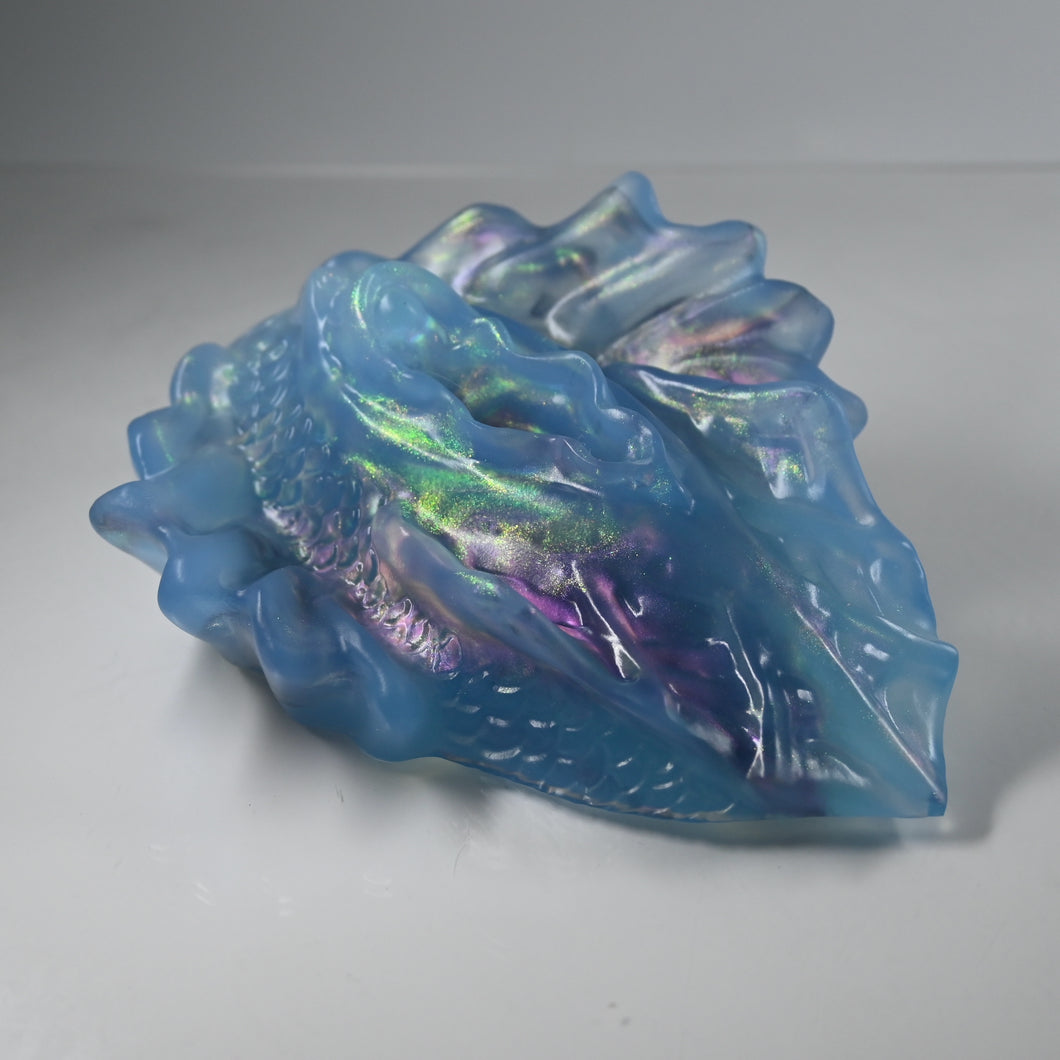 C4TDC39 Calypso Large NC 0031 CS