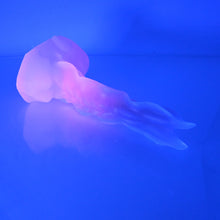 Load image into Gallery viewer, V2NCE39 Snark&#39;s Maw Small NC 0045 UV
