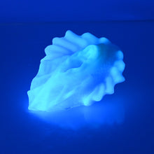 Load image into Gallery viewer, C2XDD86 Calypso Small 0020 UV GITD
