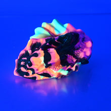 Load image into Gallery viewer, C2SDD90 Calypso Small 0030 UV GITD
