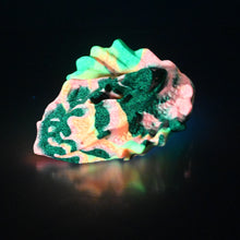 Load image into Gallery viewer, C2SDD90 Calypso Small 0030 UV GITD
