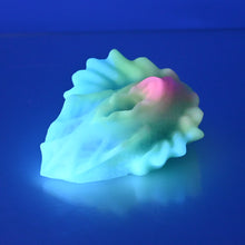 Load image into Gallery viewer, C2SDD85 Calypso Small 0030 UV GITD
