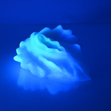 Load image into Gallery viewer, C4XDD94 Calypso Large 0020 UV GITD
