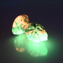 Load image into Gallery viewer, F1SCD31 Dragonfruit Plug Mini 0030 UV GITD
