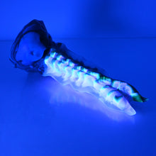 Load image into Gallery viewer, V2TCF91 Snark&#39;s Maw Small NC 0031 UV
