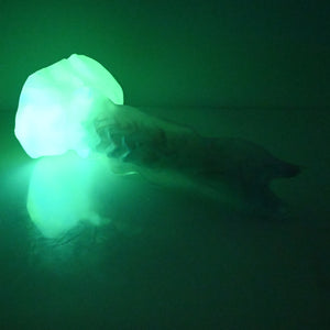 V3TCF98 Snark's Maw Medium NC 0031 UV GITD