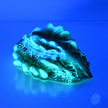 Load image into Gallery viewer, C4SDF48 Calypso Large 0030 UV GITD
