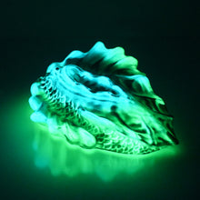 Load image into Gallery viewer, C4SDF48 Calypso Large 0030 UV GITD
