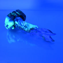 Load image into Gallery viewer, V1MCJ87 Snark&#39;s Maw Mini 0050 UV GITD
