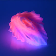 Load image into Gallery viewer, C2SDH07 Calypso Small 0030 UV GITD
