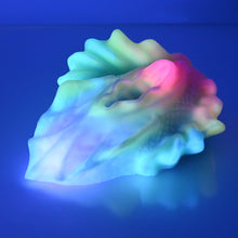 Load image into Gallery viewer, C4SCH11 Calypso Large 0030 UV GITD
