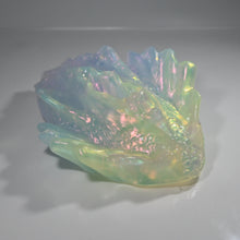 Load image into Gallery viewer, C4TCH09 Calypso Large NC 0031 CS
