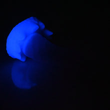 Load image into Gallery viewer, S2TCJ62 Snark Small NC 0031 UV GITD
