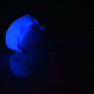S2TCJ62 Snark Small NC 0031 UV GITD