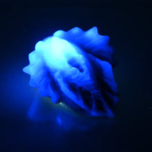 Load image into Gallery viewer, C2XDJ34 Calypso Small 0020 UV GITD CS
