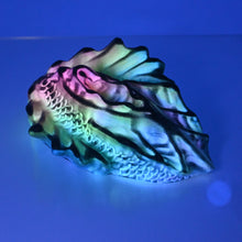 Load image into Gallery viewer, C4SDJ38 Calypso Large 0030 UV GITD
