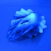 Load image into Gallery viewer, C4XDJ42 Calypso Large 0020 UV GITD CS
